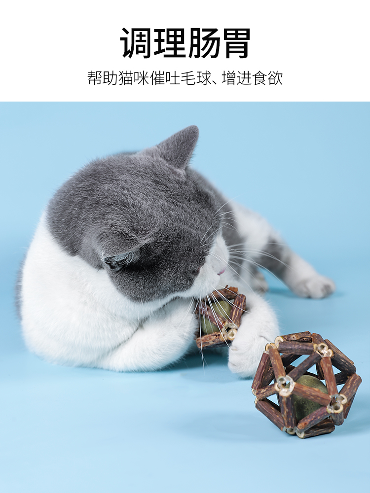 猫玩具磨牙棒