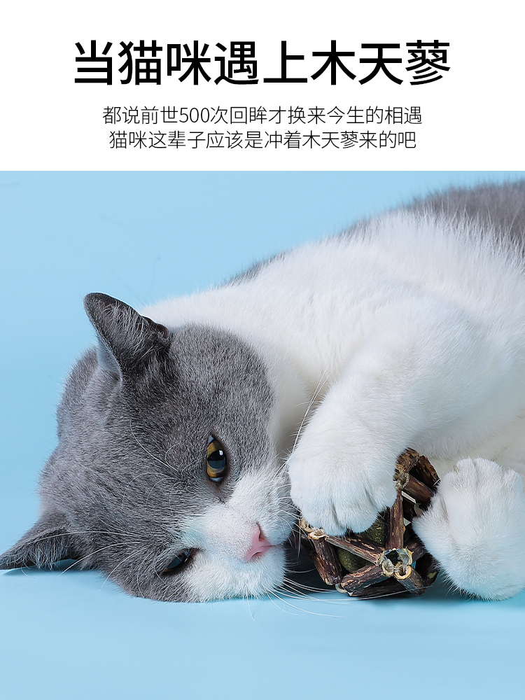 猫玩具磨牙棒